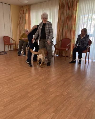 Besuch vom Therapiehund Anton – Bild 5